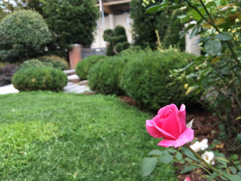 Rosa Del Grappa Bed & Breakfast Eksteriør bilde